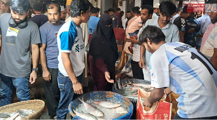 চাঁদপুরে ইলিশের দামে রেকর্ড, তবু ক্রেতাদের উপচেপড়া ভিড়